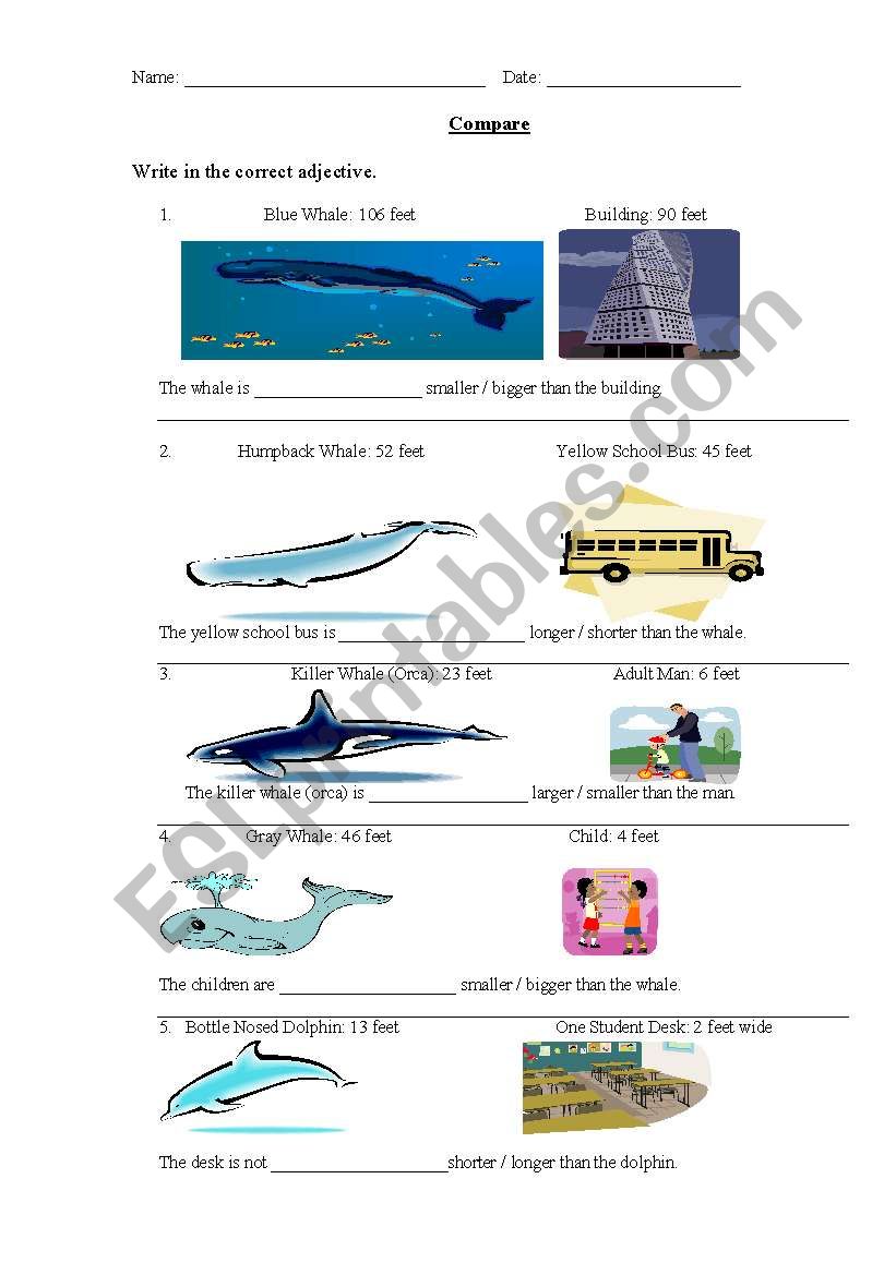 Compare sizes worksheet