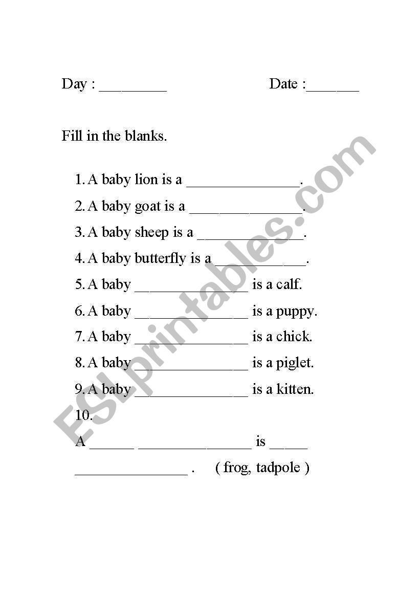 Animals and Their Young worksheet