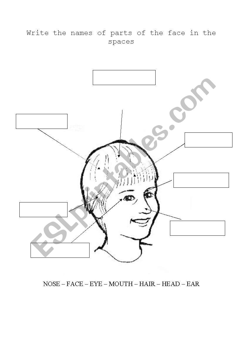 body II part worksheet