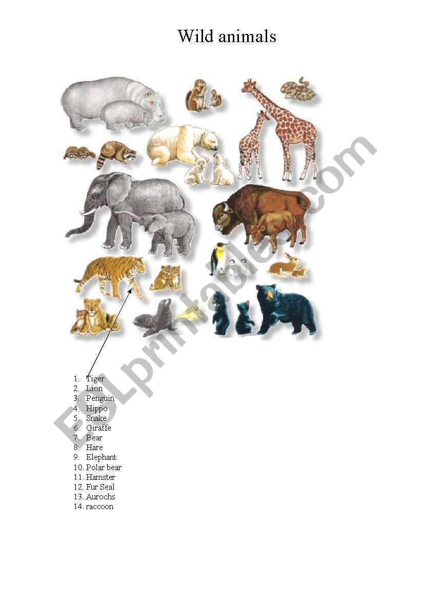 Wild animals worksheet