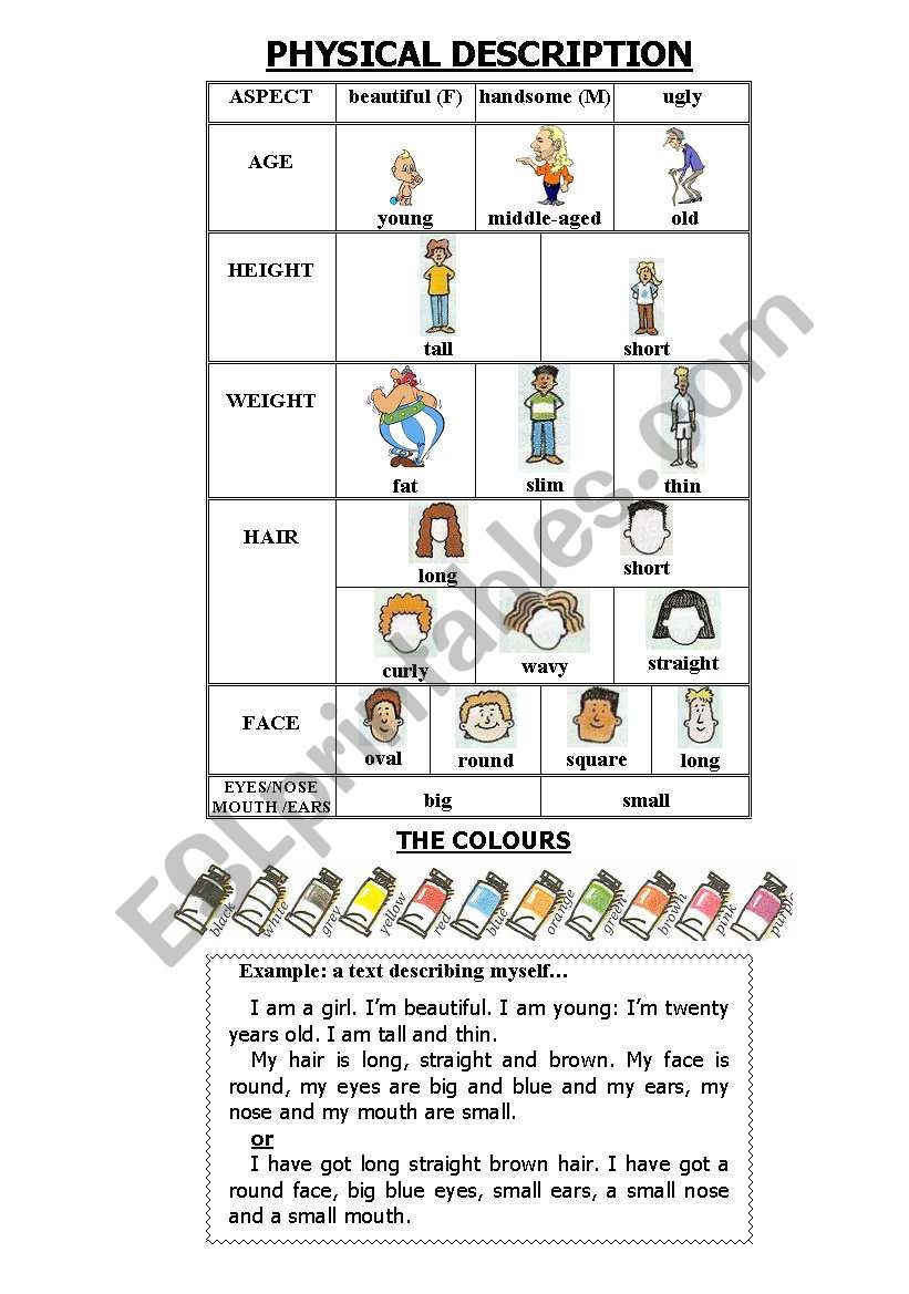 physical description worksheet