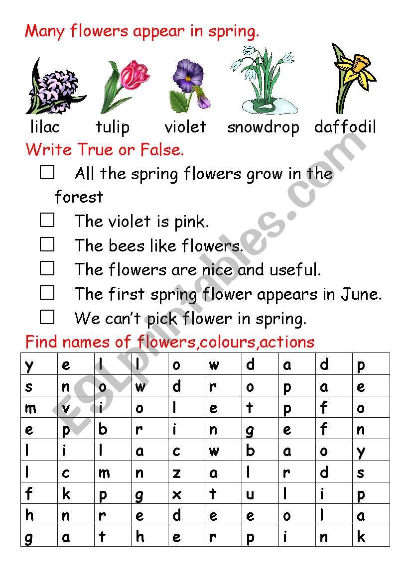 Spring flowers worksheet