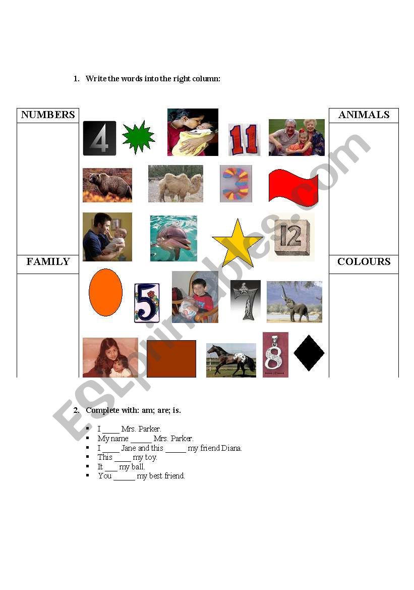 Exercises with numbers, colours, animals, family members
