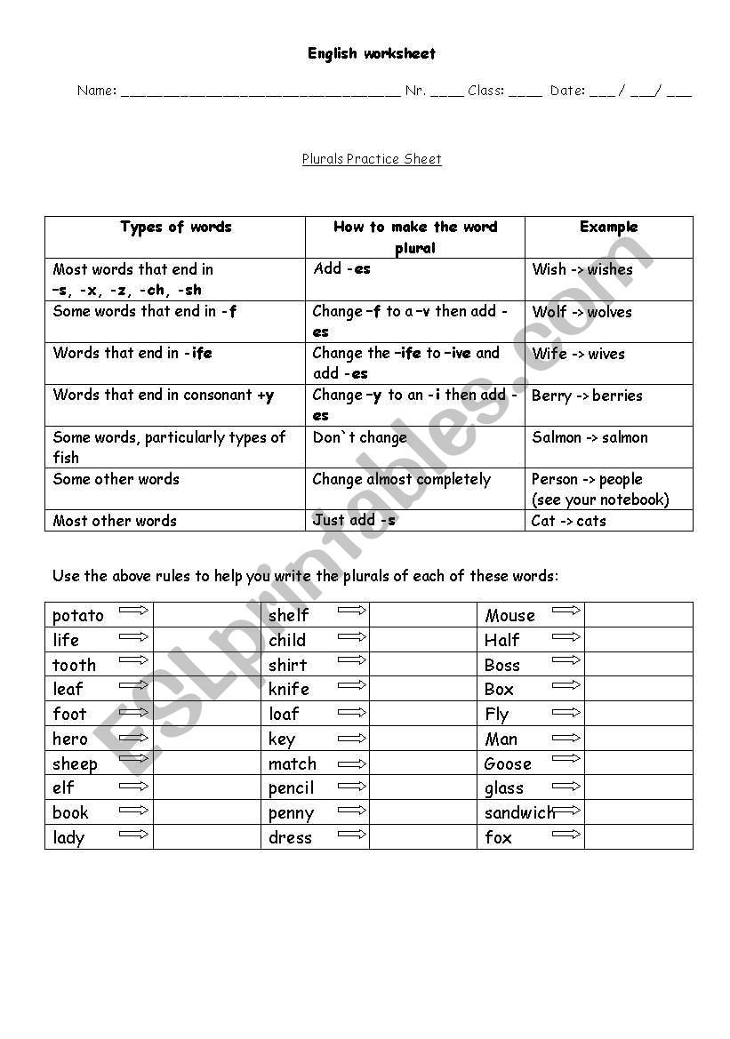 Plurals worksheet