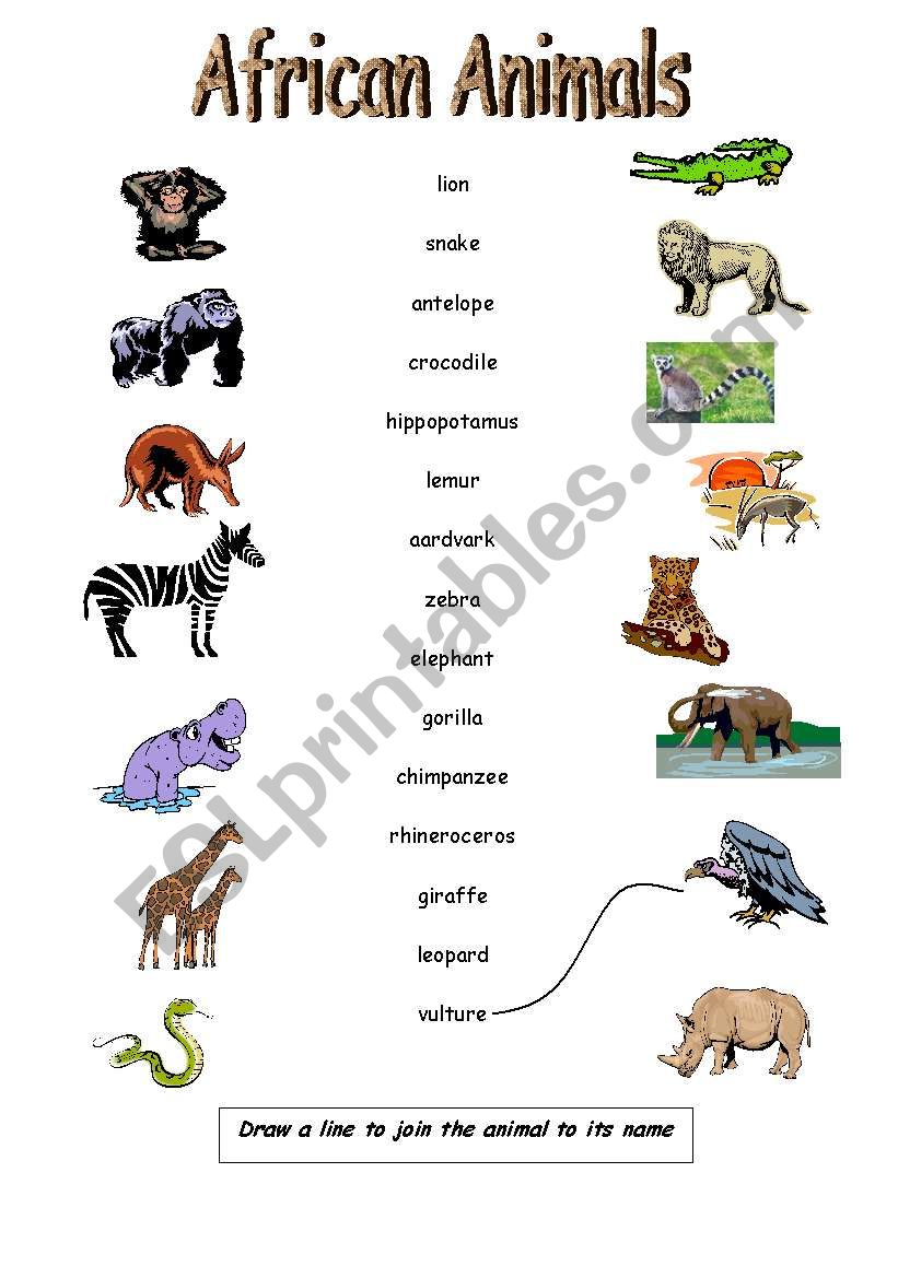 African Animals worksheet