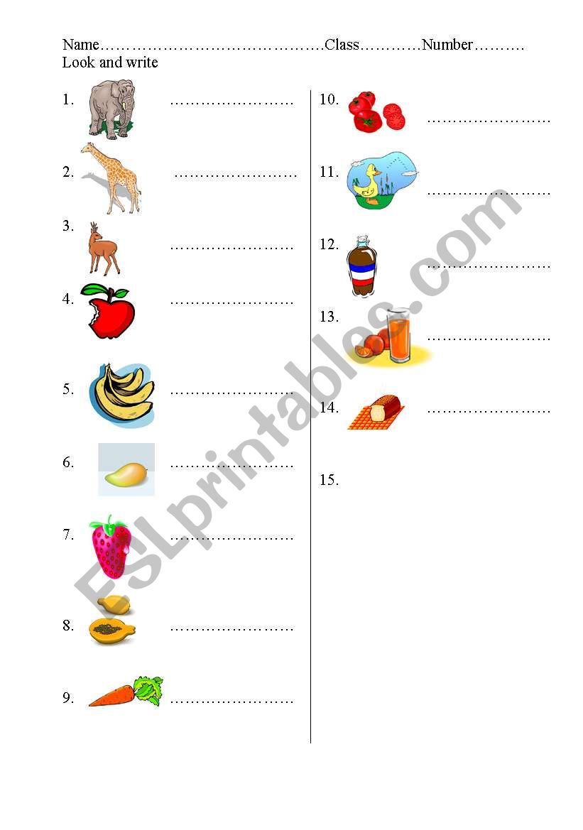 food worksheet