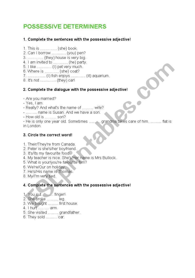 POSSESSIVE DETERMINERS worksheet