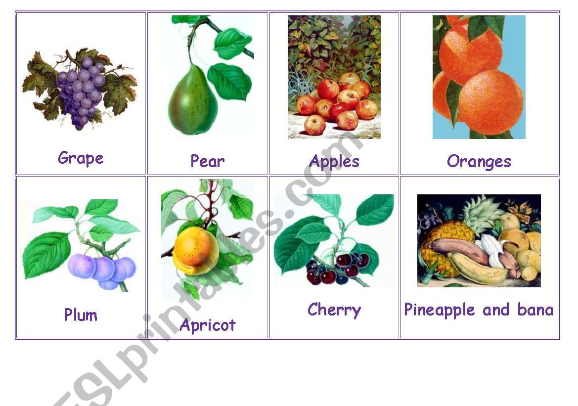 Fruits worksheet