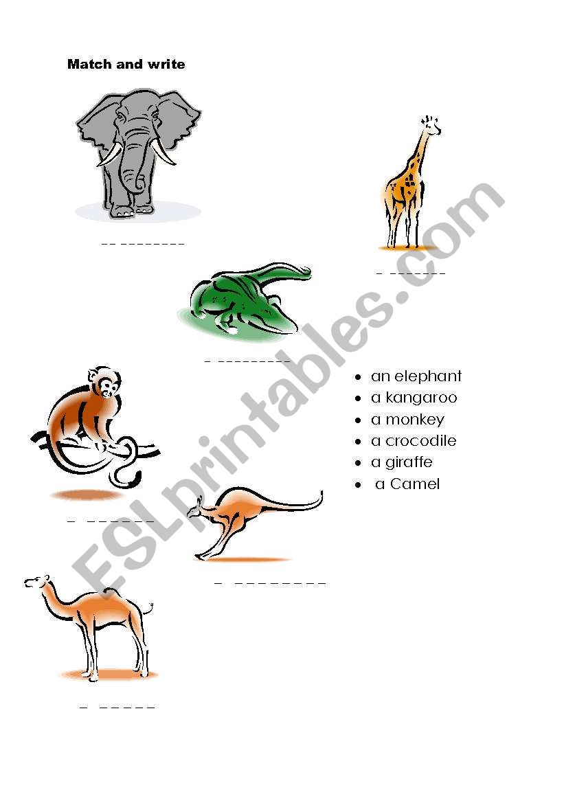 wild animals worksheet