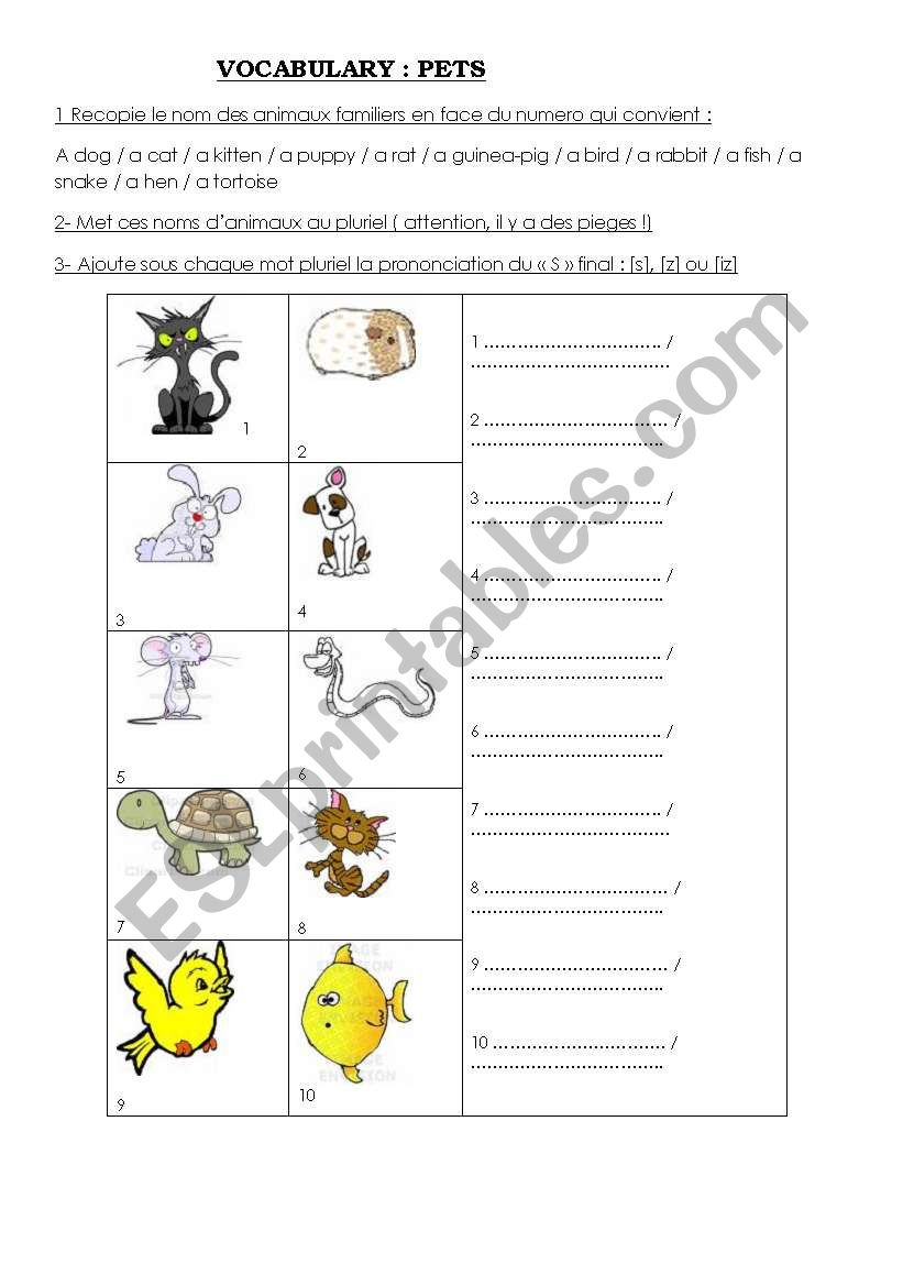 PETS worksheet