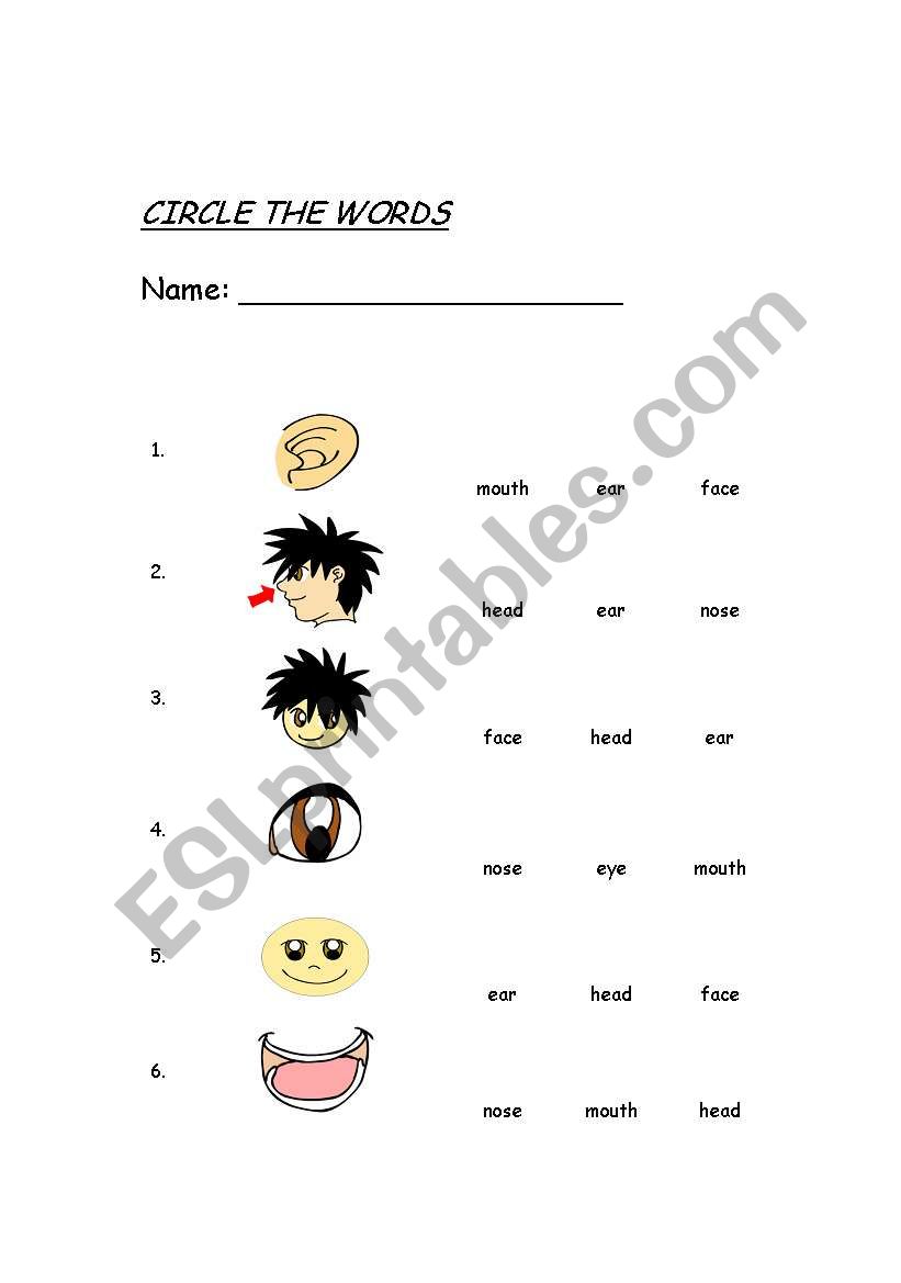 BODY  PARTS -EASY- worksheet