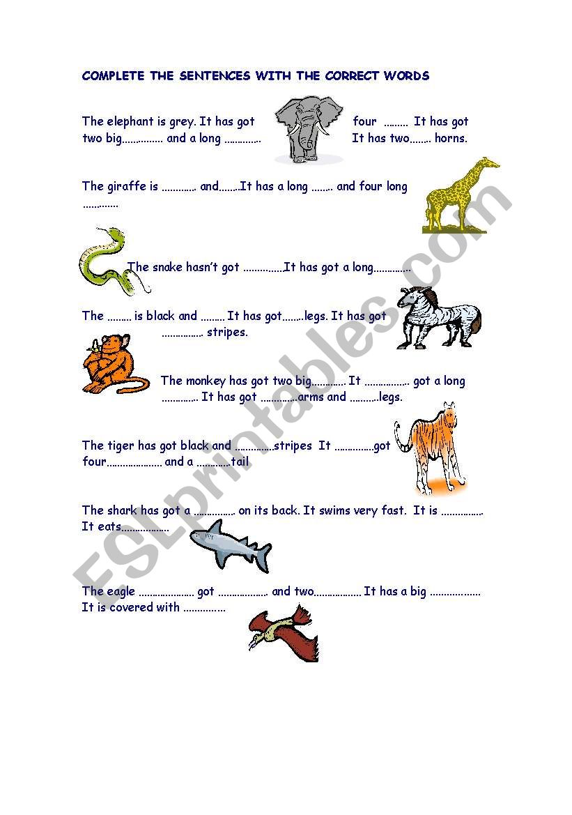 Animals descriptions worksheet