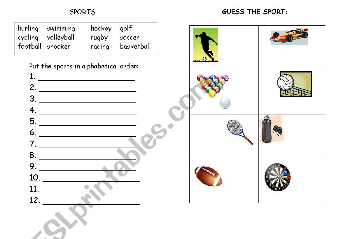Sports  worksheet