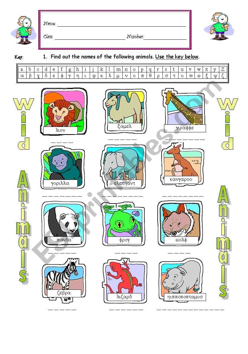 Wild  Animals worksheet