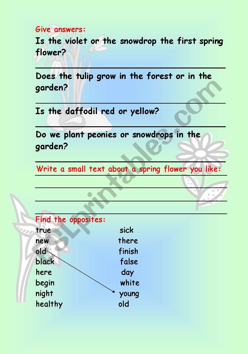 Spring questions worksheet