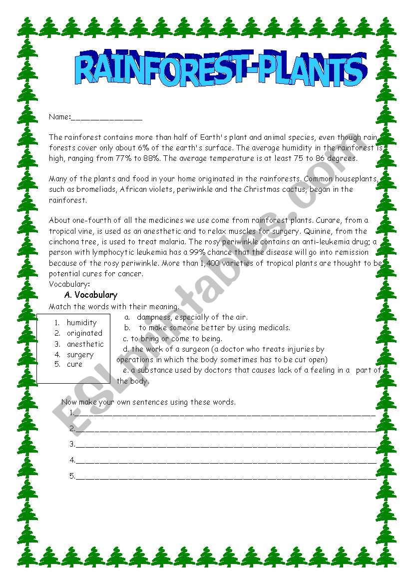 RAINFORESTS worksheet