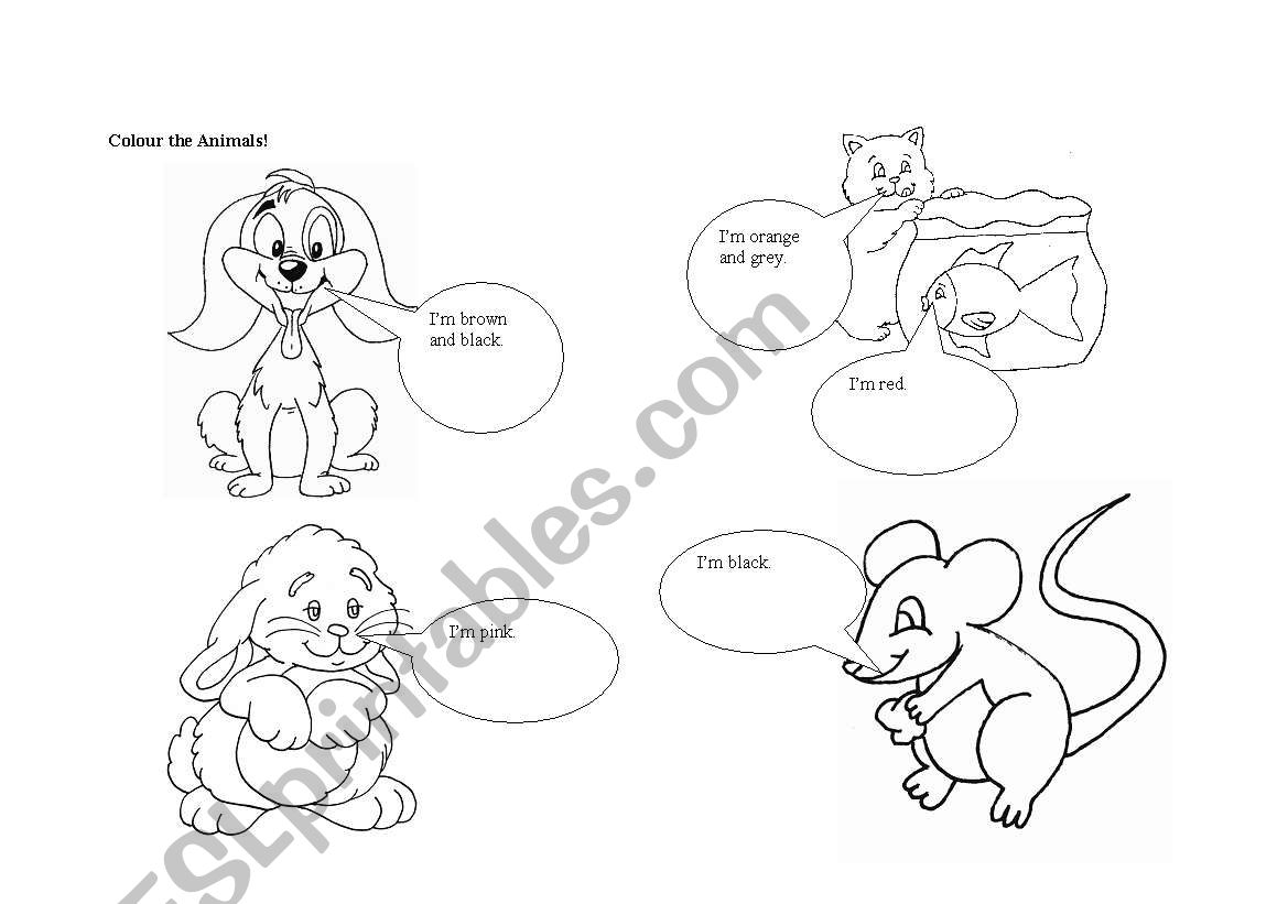 animals and colours worksheet