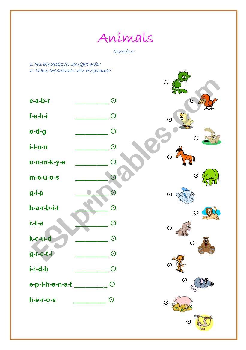 Match Animals worksheet