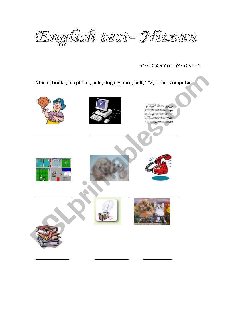 basic vocabulary exercise worksheet