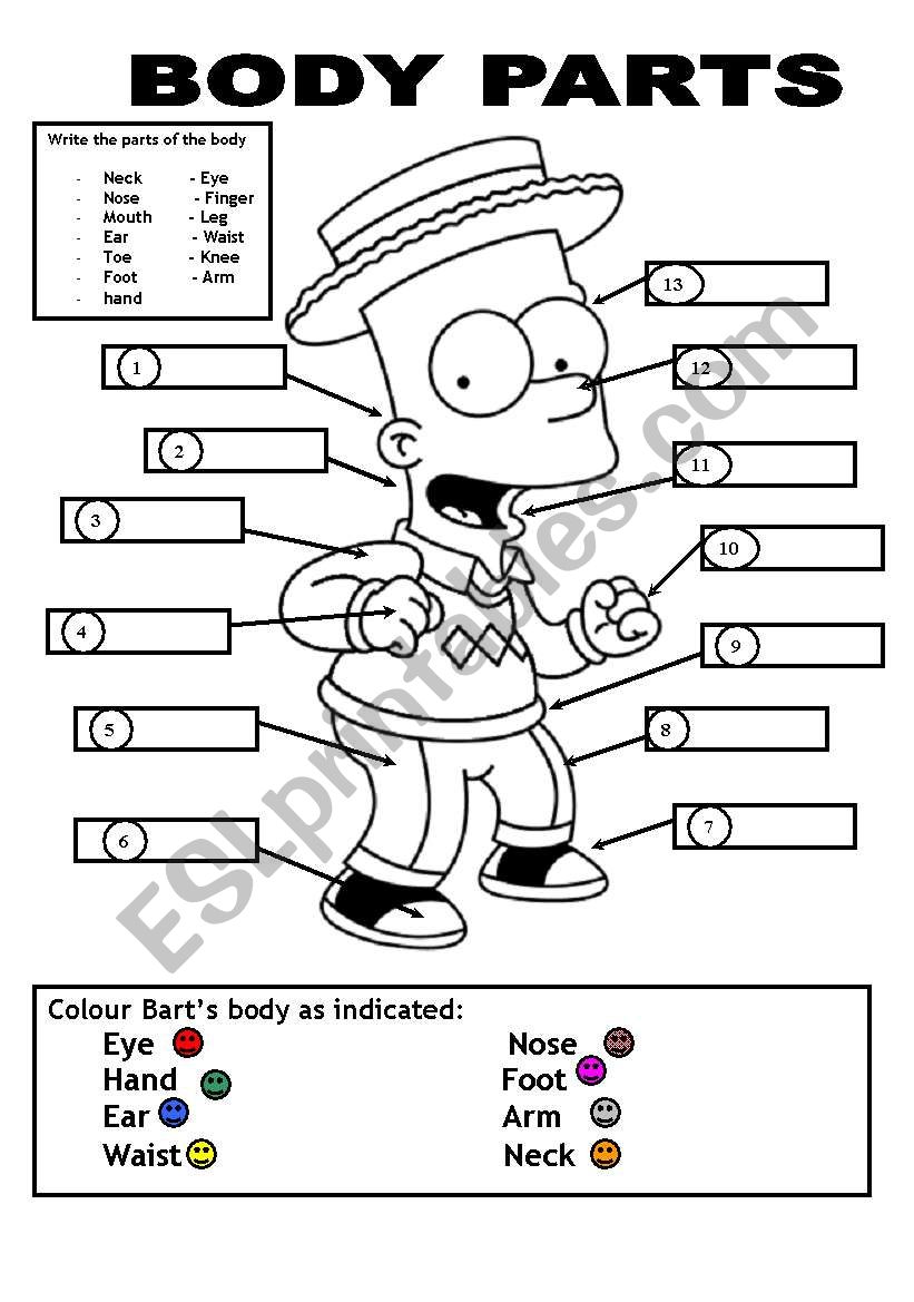 BODY PARTS worksheet