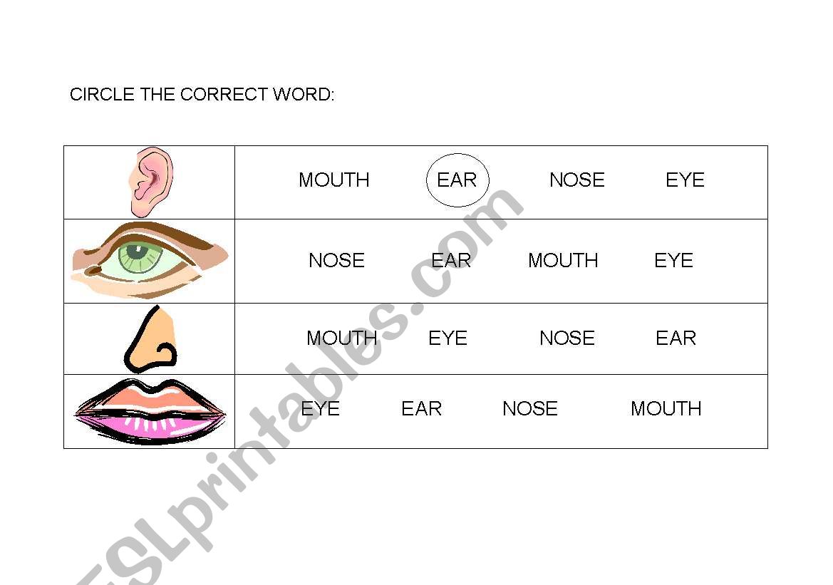 circle the correct word worksheet