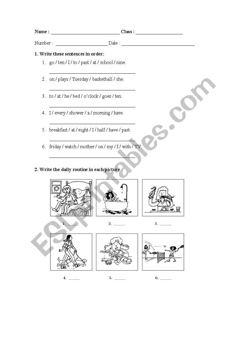 daily routines worksheet