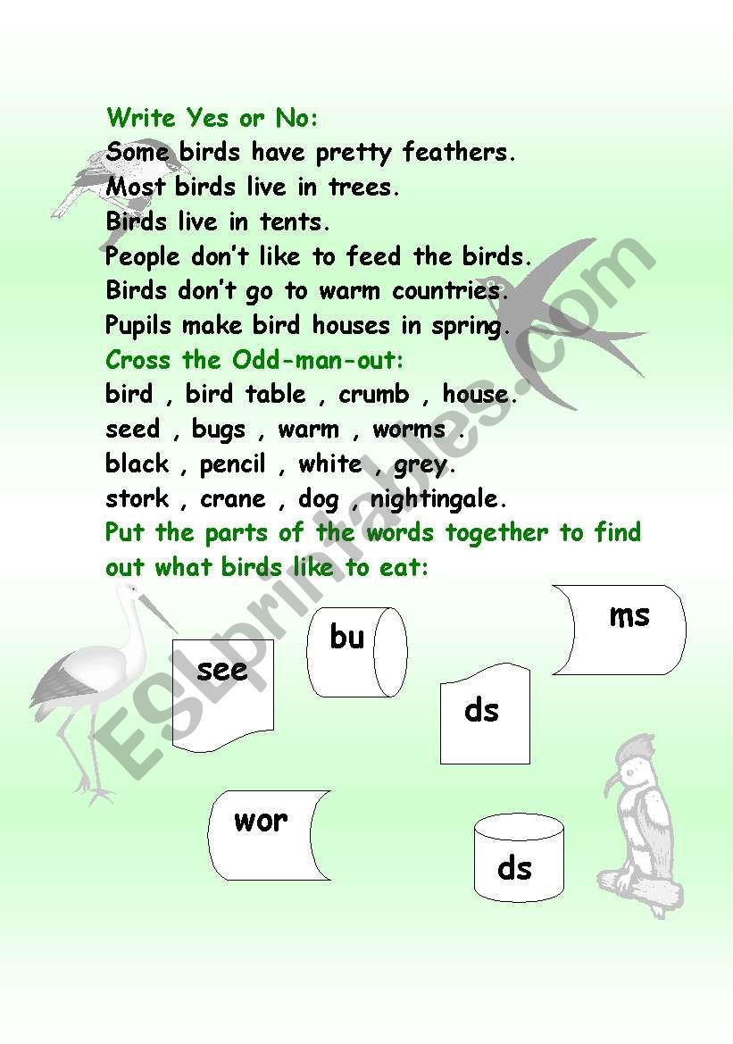 Birds in spring worksheet