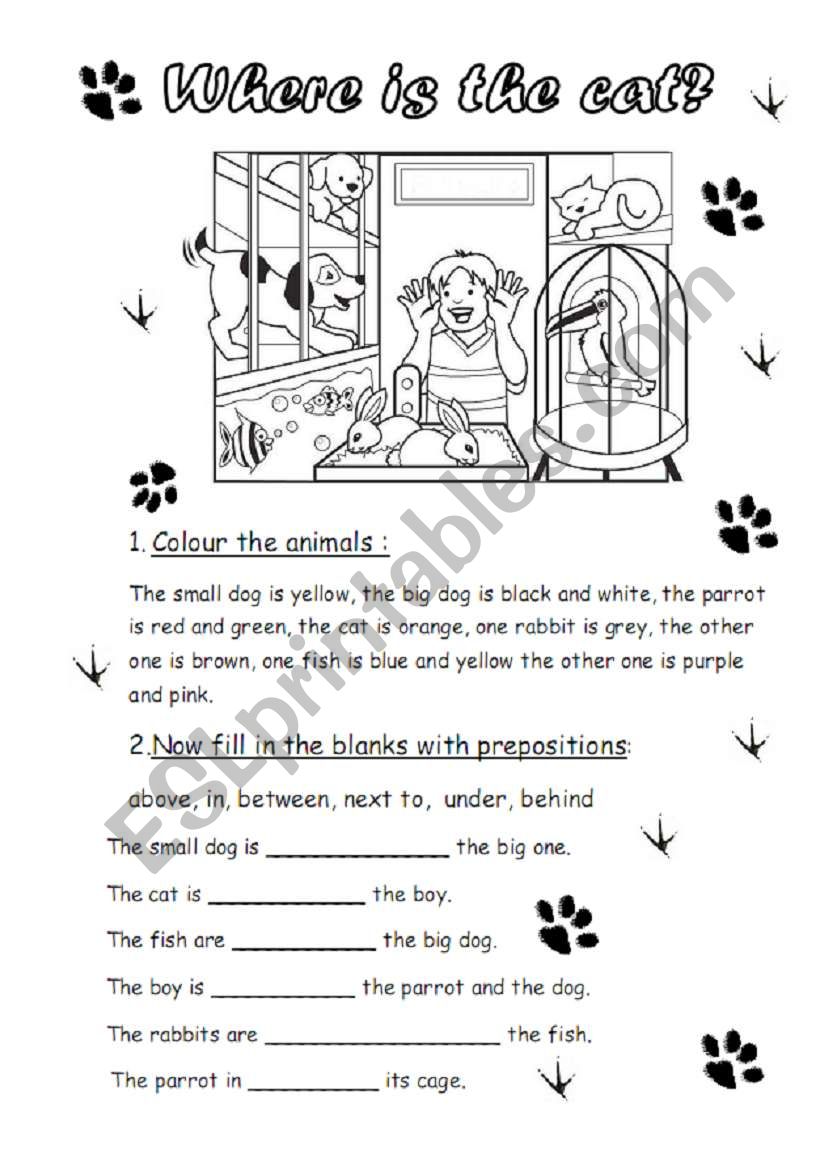 Where is the cat? worksheet