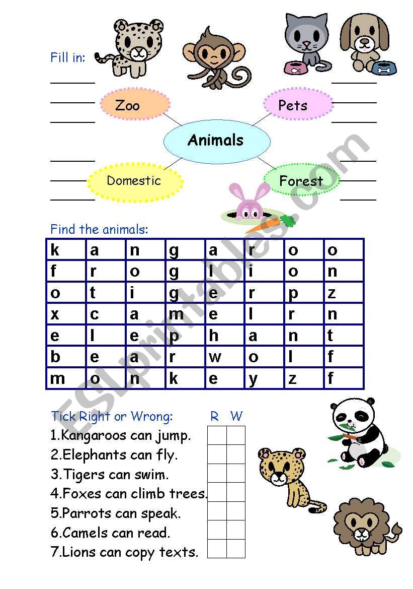 Animals worksheet