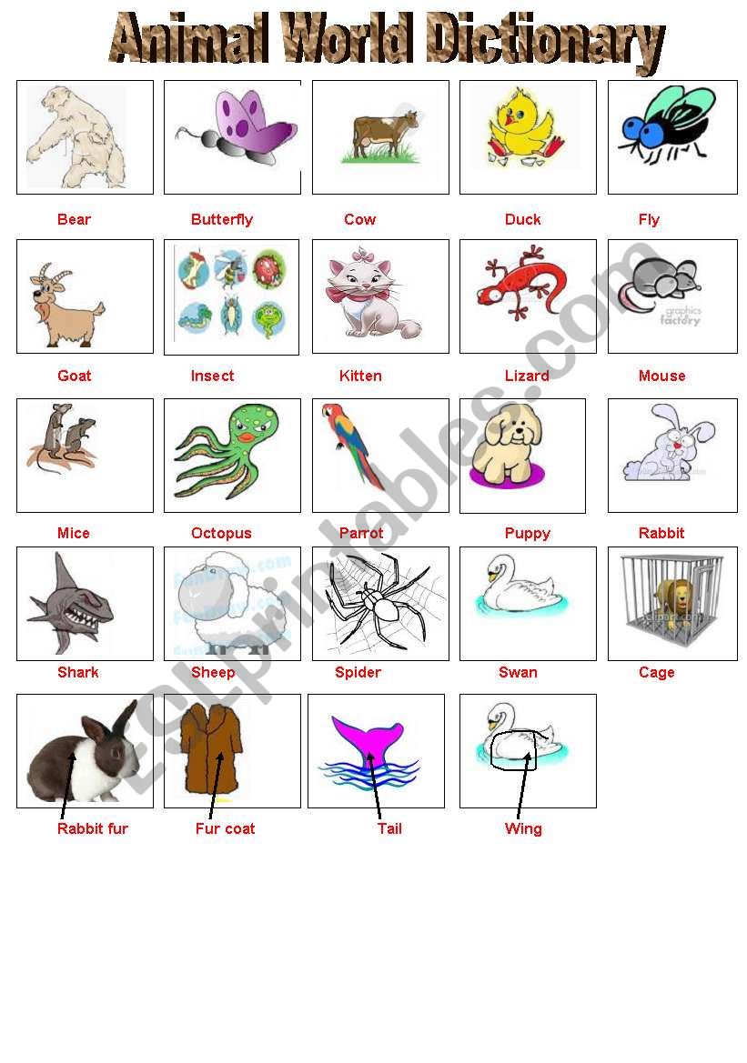 Flyers animal vocabulary worksheet
