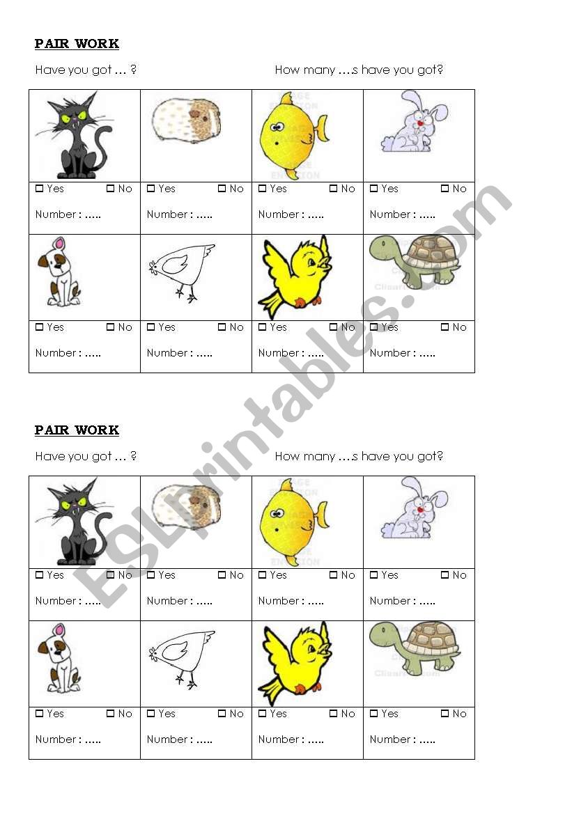 how many pets have you got? worksheet