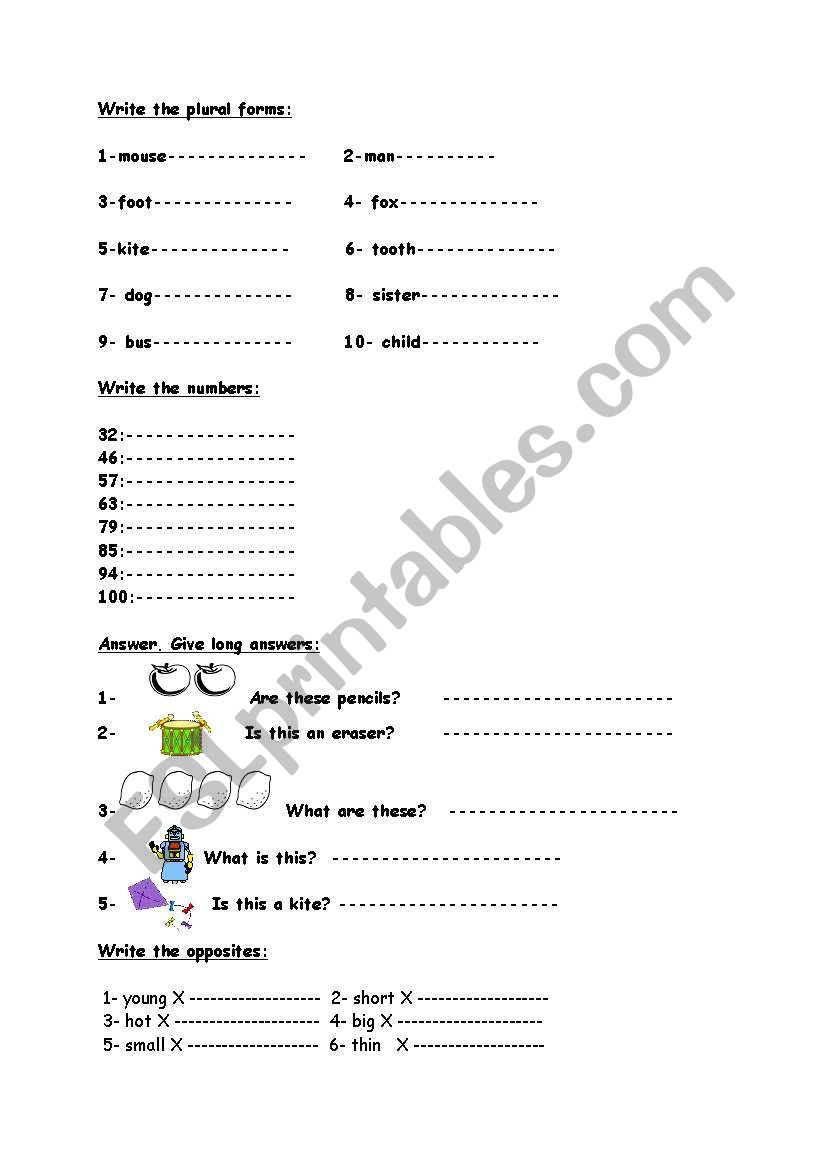 singular,plural worksheet