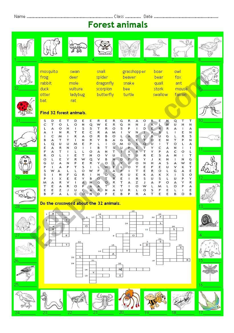 Forest animals worksheet