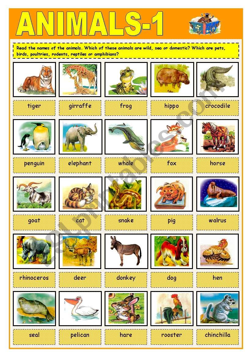 ANIMALS worksheet