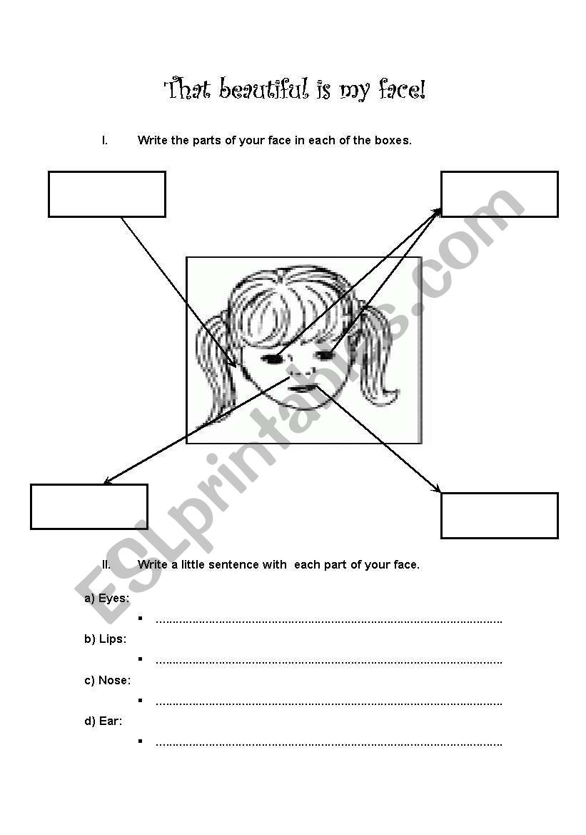 My face worksheet