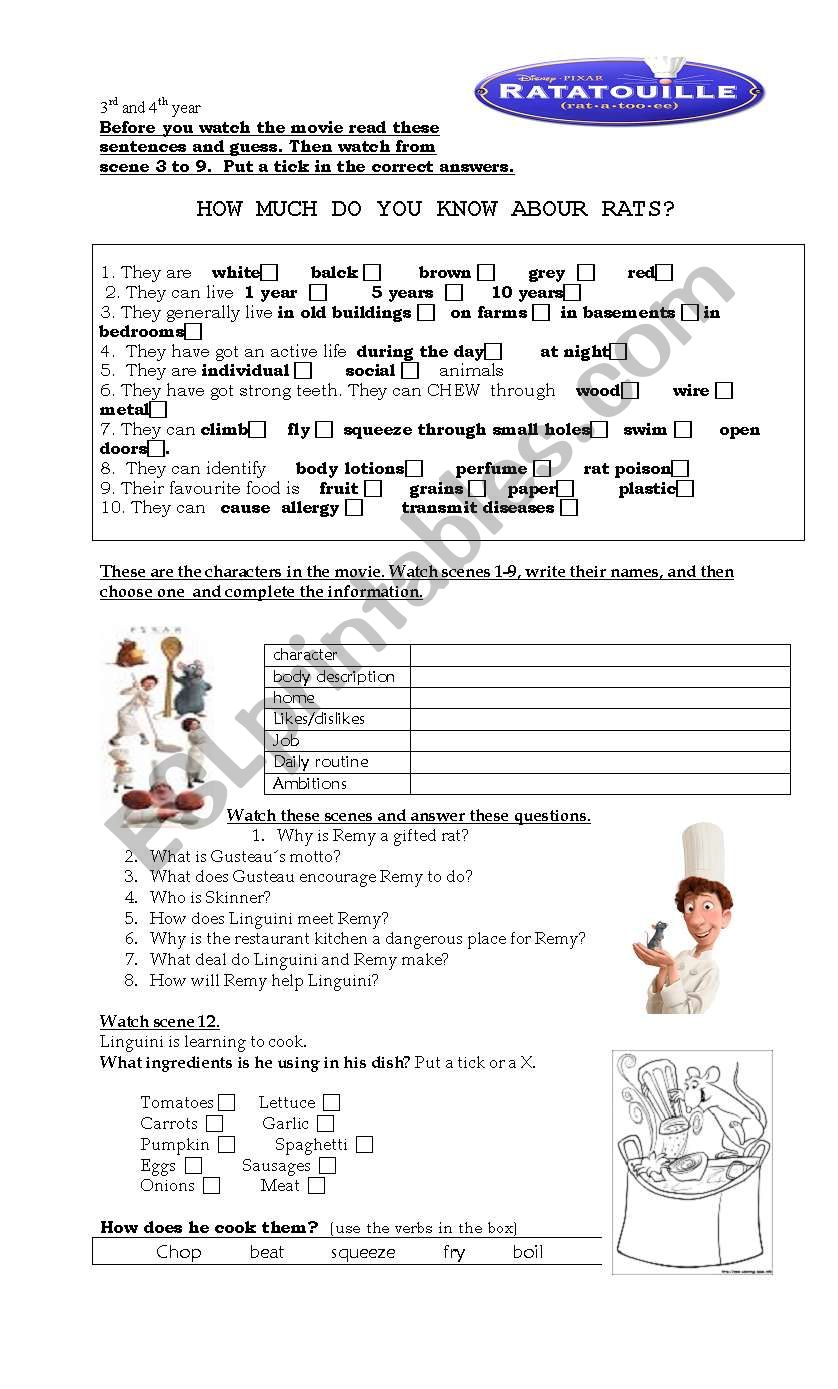 RATATOUILLE movie guide/activity