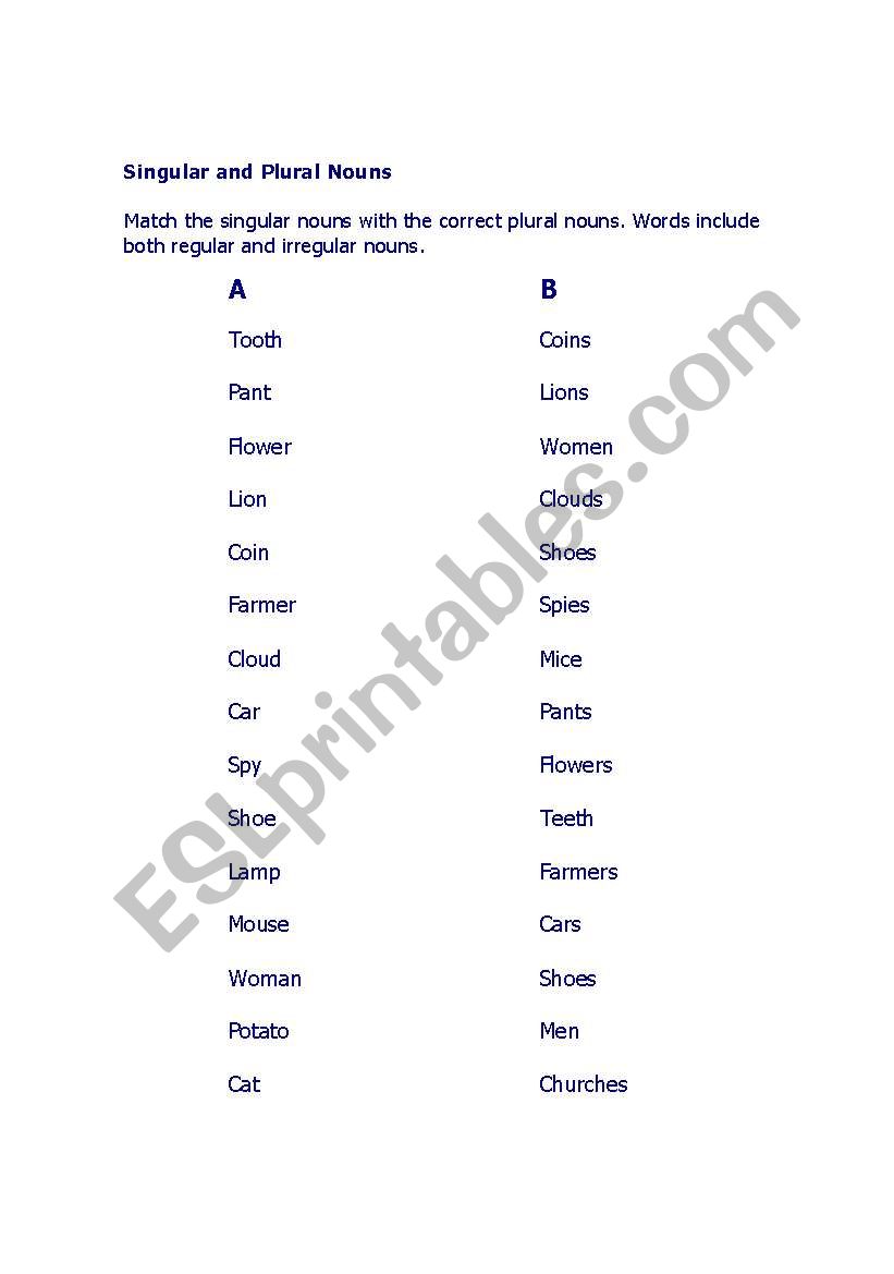 SINGULAR AND PLURAL NOUNS worksheet