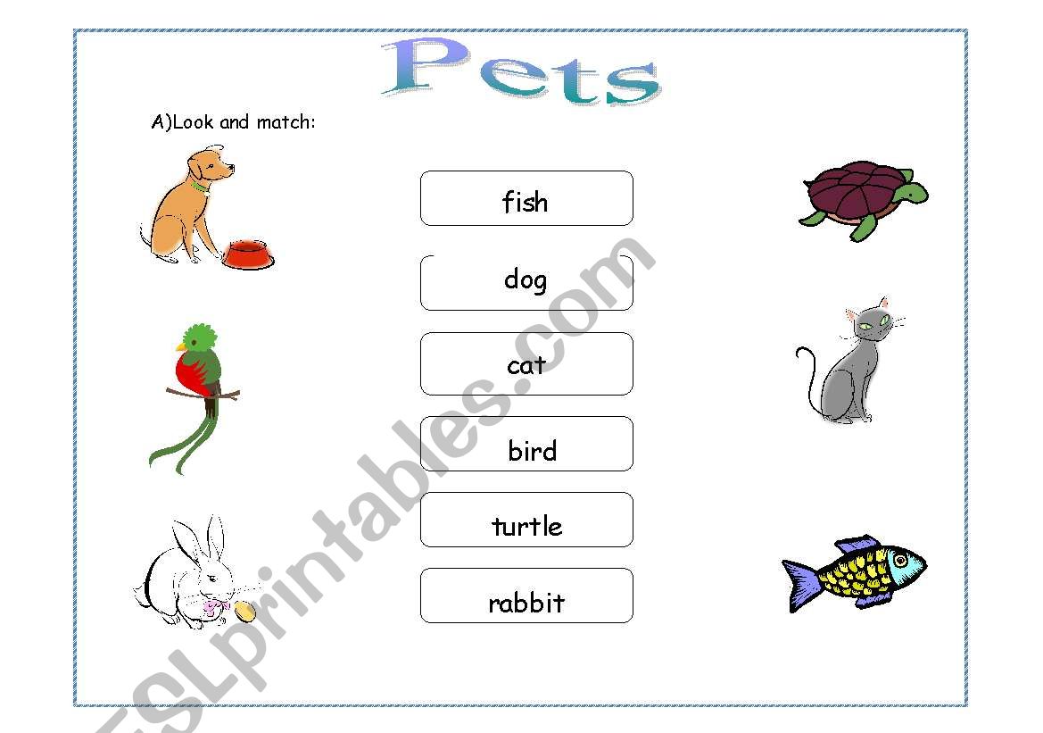 Pets worksheet