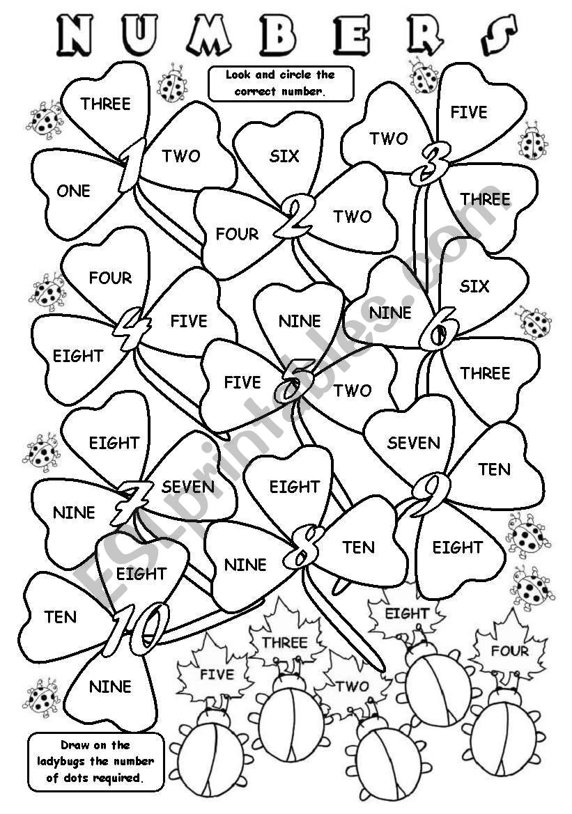 Numbers worksheet