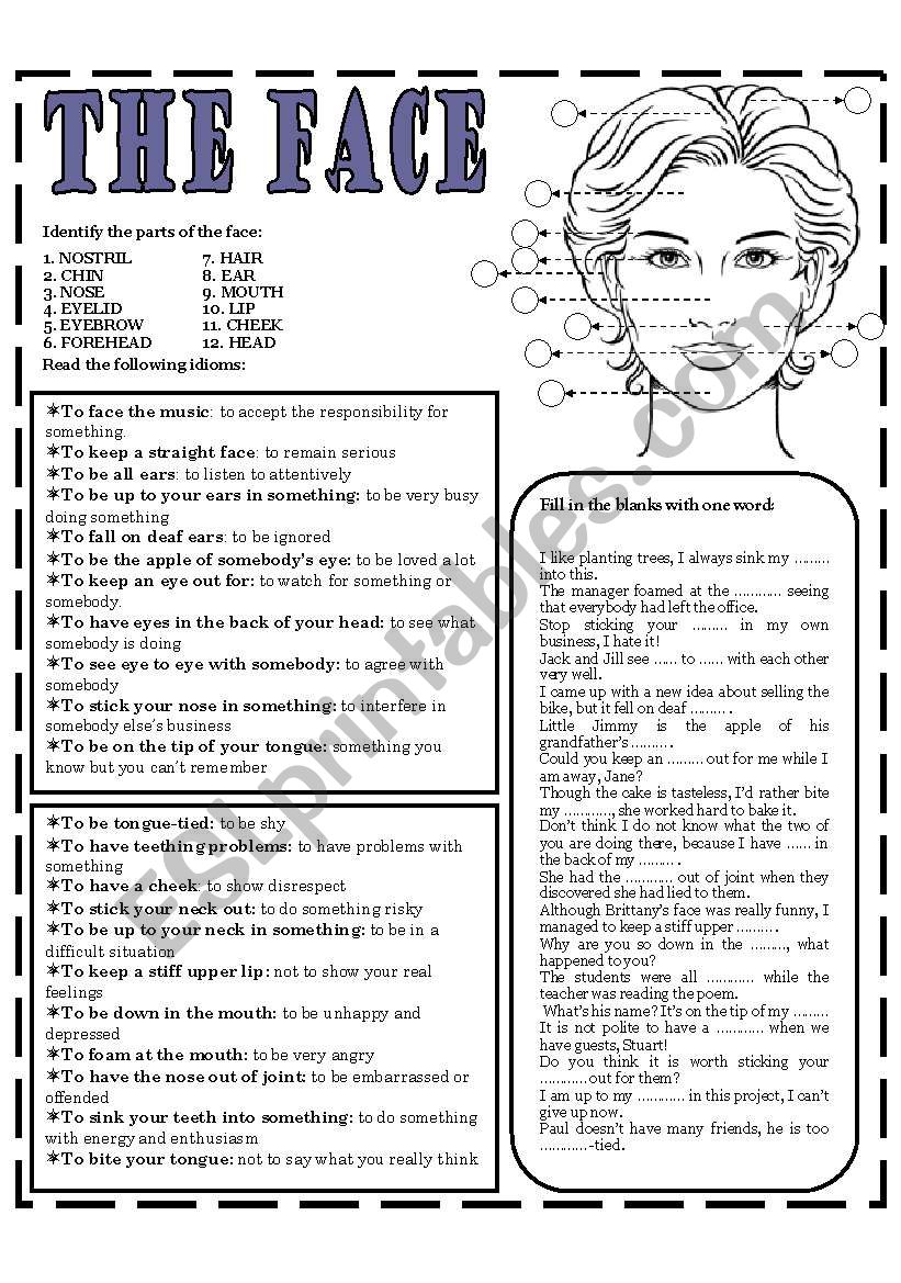 THE FACE worksheet