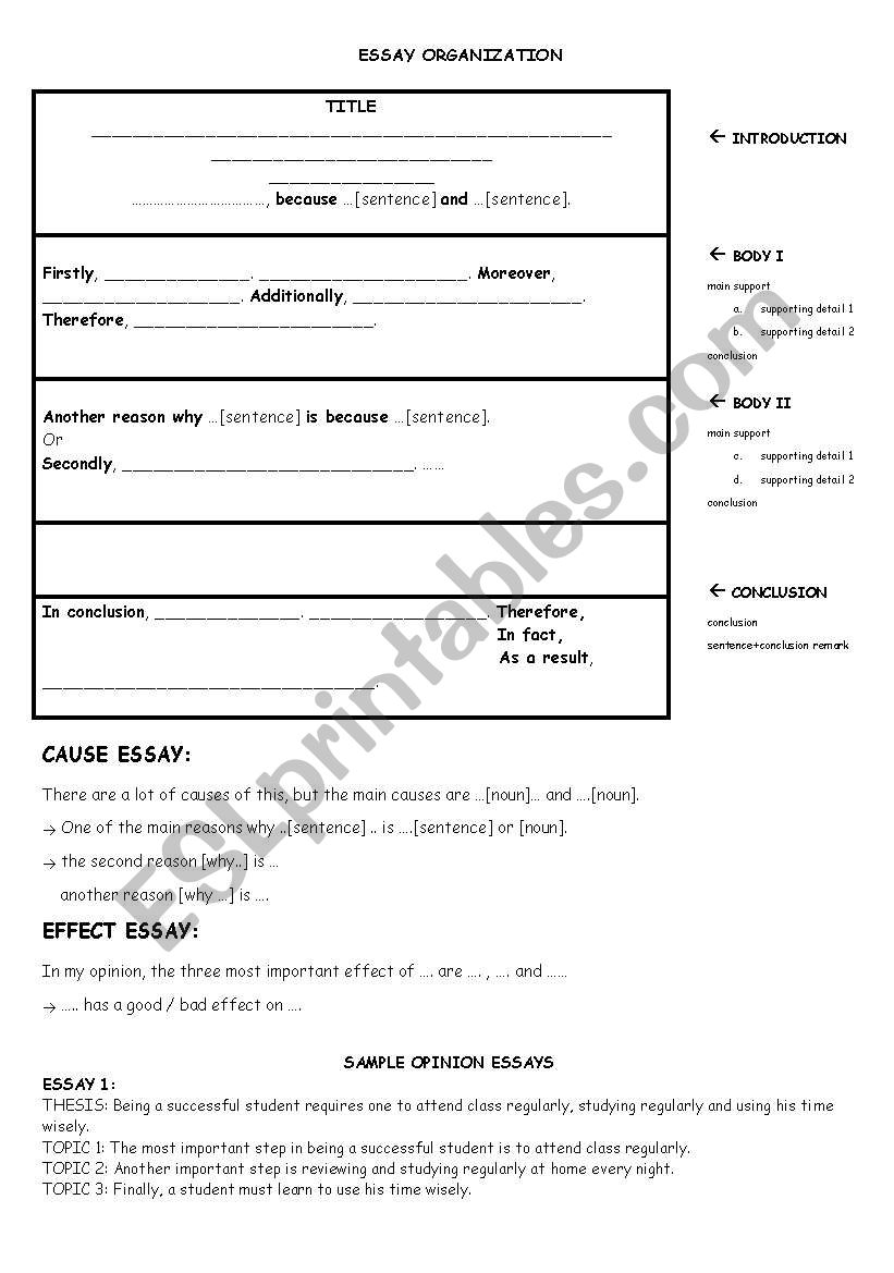 Essay organization worksheet