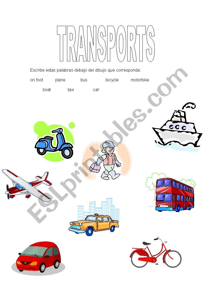 transports worksheet