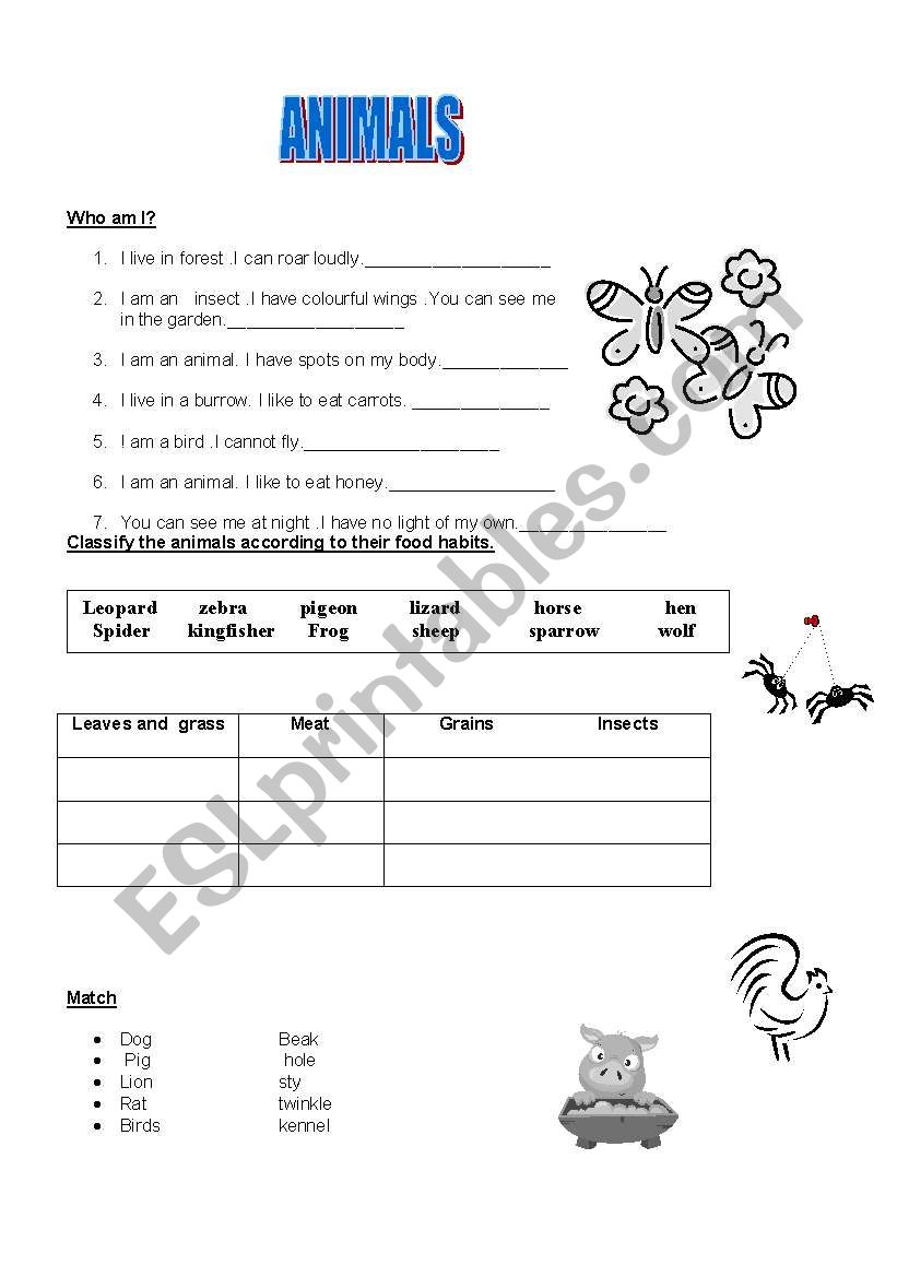 Animals worksheet