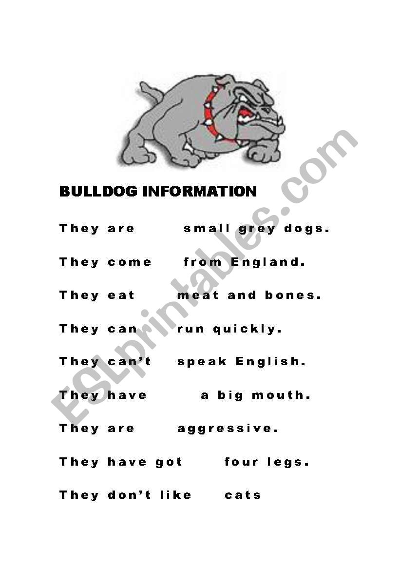 British Bulldog cut and match sentences