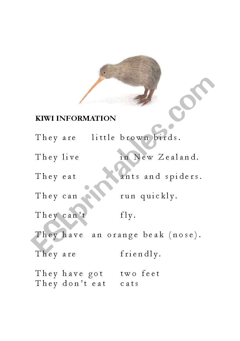Kiwi information sentence cut and match