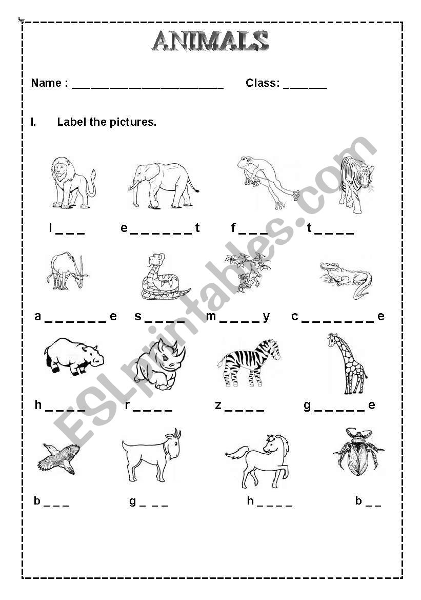 ANIMALS worksheet