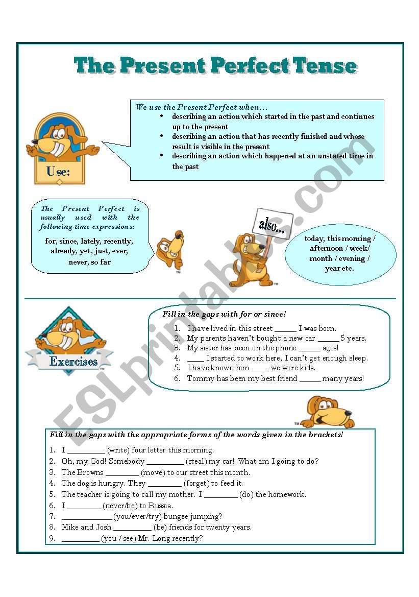 Present Perfect Worksheet worksheet