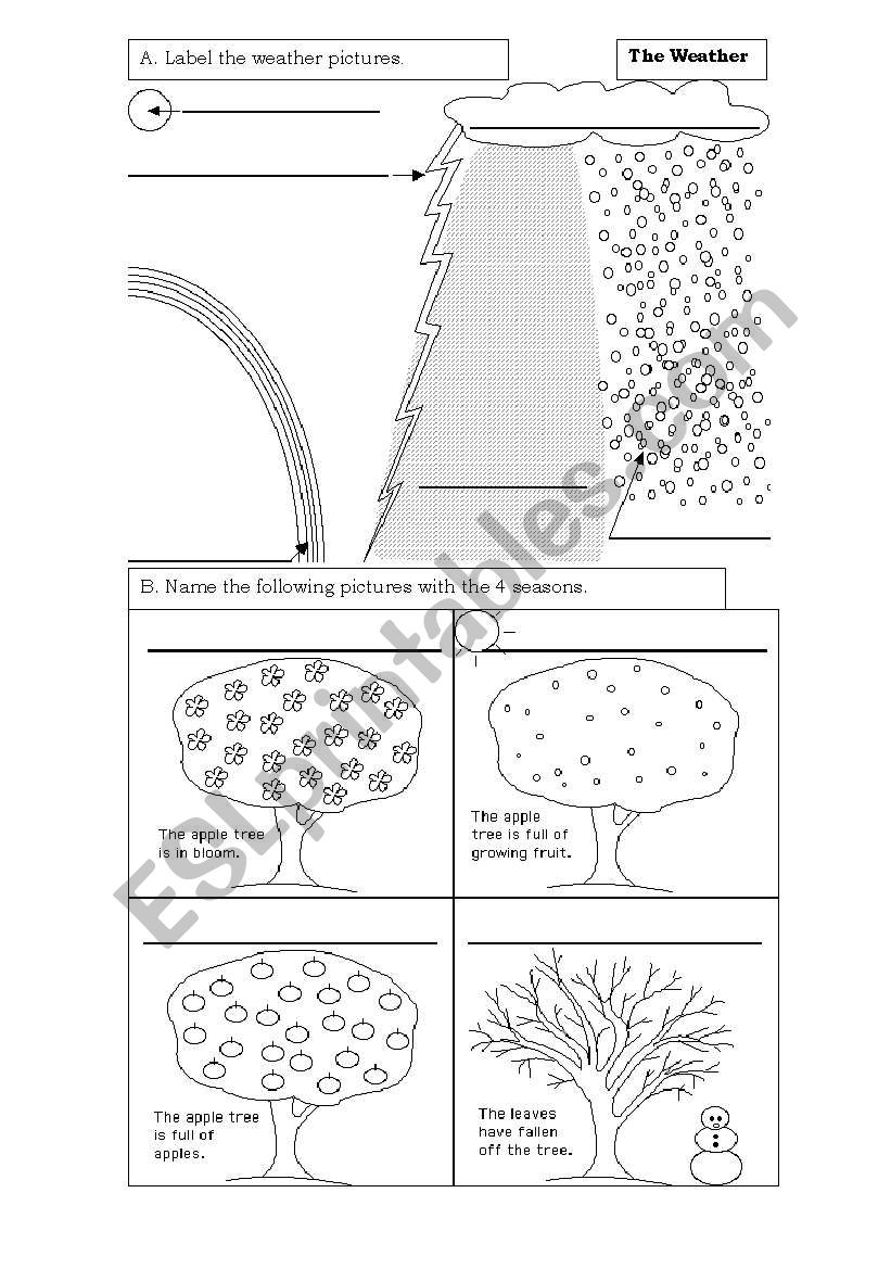 The weather worksheet