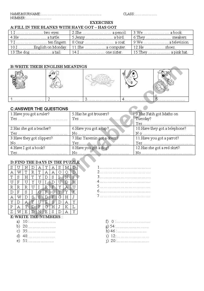 exercises worksheet