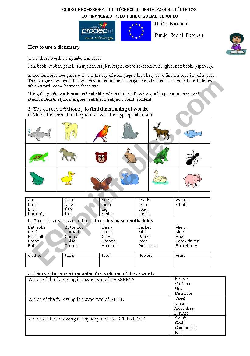 Dictionary use worksheet